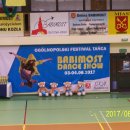 fest 37